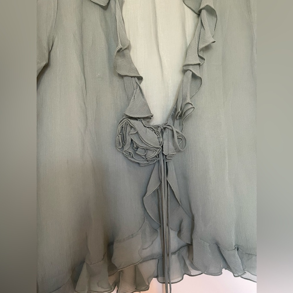 Zara Semi Sheer Ruffle Blouse - Picture 3 of 3